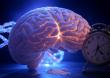 Substance use accelerates brain aging through distinct molecular pathways, groundbreaking study reveals