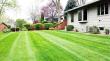 Global Landscaping Services Market to Reach USD 657.5 Billion by 2035, Driven by Sustainability and Urban Development