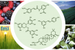 Phytochemical Market to Reach USD 16.62 Billion by 2035, Driven by Rising Demand for Plant-Based Health Solutions | FMI