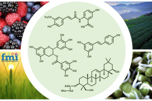 Phytochemical Market