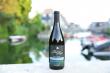 Bel Lago’s 2017 Pinot Noir Stuns Judges in Oregon Wine Press Blind Tasting, Besting Willamette Valley Icons