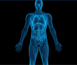 The Brookbush Institute Publishes NEW Course and Glossary Updates: 'Anatomical Position"