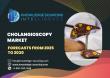 Cholangioscopy Market projected to achieve a CAGR of 7.19% to reach US$14.820 billion