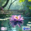 Learn Look Locate, Pfizer & Imerman Angels Launch Global Initiative to Expand Access to Stage 4 Breast Cancer Advances