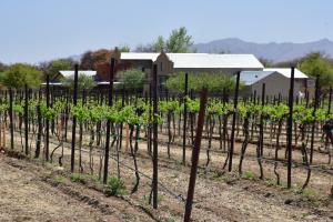 Keeling Schaefer Vineyards