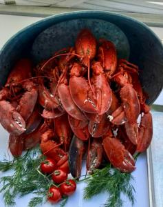 Fresh Lobsters