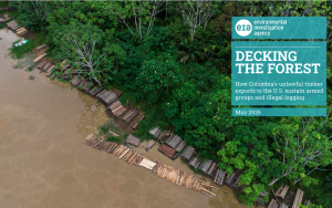 Decking the Forest cover page