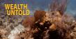 WEALTH UNTOLD Documentary Officially Released