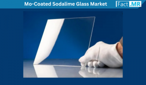 Mo-Coated Sodalime Glass Market
