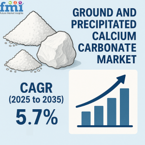 Ground And Precipitated Calcium Carbonate Market