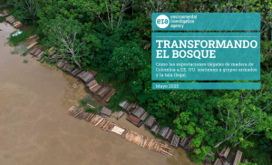 Transformando el Bosque-Col