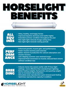 HorseLight Benefits