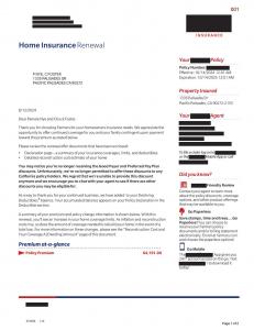 Insurance Policy Page #1