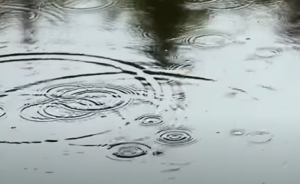 Cycling In The Rain