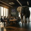 Eleva Launches: A New Operating System for Strategic Clarity