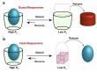 Controllable Ultrahigh-Affinity Molecular Recognition Explained Through ‘Molecular Velcro’
