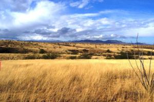 Views from homesite