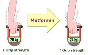 Grip strength