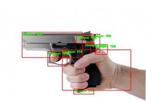 Concealed Weapon Detection Systems Market