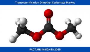 Transesterification Dimethyl Carbonate Market