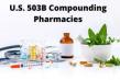 U.S. 503B Compounding Pharmacies Market Projected To Witness Massive Growth, 2025-2032 | Athenex, Inc., Avella Specialty