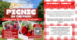 Join Jay Nolan Community Services for a Picnic in the Park Promoting Inclusion for Neurodiverse Individuals