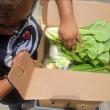 Families Are Hungry, Shelves Are Bare: Charlotte Food Pantry Urgently Calls for Support