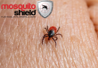 Lyme Disease Awareness Month: 'All it Takes is One Tick Bite' Prevention and Awareness