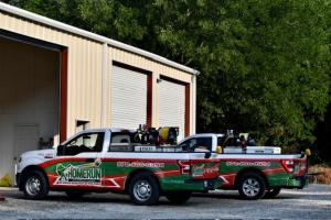 termite control near me