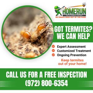 termite treatments near me