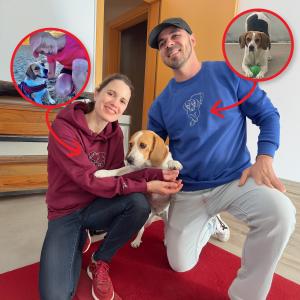 Cotton Factory Shop Customer Moments - Iconic Memory Hoodie and Sweatshirt