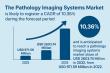 Global Pathology Imaging Systems Market Poised for Robust Growth, Set to Reach USD 2,603.74 Million by 2032