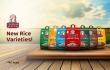 Dookan Adds India Gate’s Newly Launched Rice Collection to Its Offerings