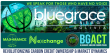 As VCCs Gain Recognition as Environmental Commodities, BlueGrace Sets the Standard with Tokenized Carbon Assets