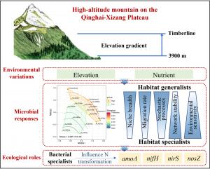 Figure 1. Microbial Community Shifts Across Elevation in the Qinghai-Xizang Plateau.