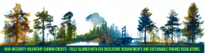 High Integrity Voluntary Carbon Credits
