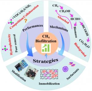 Key Elements of Methane Biofiltration: Performance, Mechanisms, and Optimization Strategies.