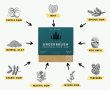 Nathan & Sons Launches Underbrush, the Remineralizing Gum Brand