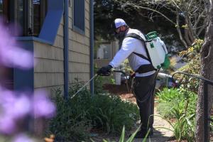 Pest Control Services in Santa Cruz County
