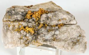 Native crystalline gold in quartz specimen from Timmins, Ontario – Canada’s richest gold region, the city having been founded in 1911 – containing 26.8 grams of gold. ($3,000).