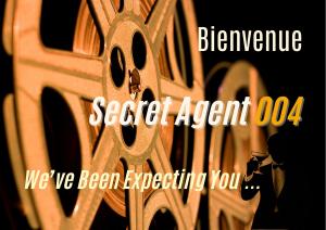 Secret French Property Agent 004