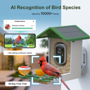 best bird feeder camera - AI recogition of bird species