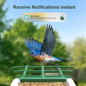 best bird feeder cameras - receive notifications instant