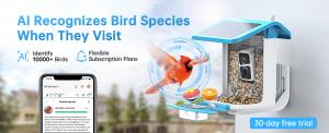 hummingbird feeder with camera - AI recognizes bird species when they visit