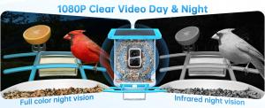 best hummingbird feeder with camera - 1080p clear video day & night