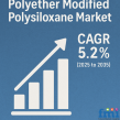 Polyether Modified Polysiloxane Market to Reach USD 2.35 Billion by 2035, Driven by Growth in Personal Care Applications