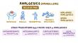 Analgesics Market Forecast to Hit USD 85.91 Billion by 2032, Exhibiting 6.7% CAGR