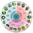 Wearable plant sensors devices for precision agriculture and environmental monitoring