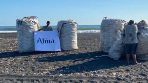 Del Alma Trash Pickup