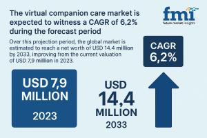 Virtual Companion Care Market